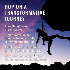 BSYS SHILAJIT GUMMIES 60'S - Blondies Flips Gear and Clothing