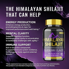 BSYS SHILAJIT GUMMIES 60'S - Blondies Flips Gear and Clothing