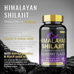 BSYS SHILAJIT GUMMIES 60'S - Blondies Flips Gear and Clothing