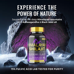 BSYS SHILAJIT GUMMIES 60'S - Blondies Flips Gear and Clothing