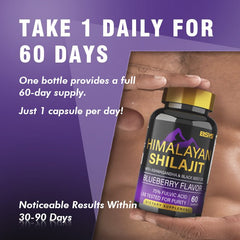 BSYS SHILAJIT GUMMIES 60'S - Blondies Flips Gear and Clothing