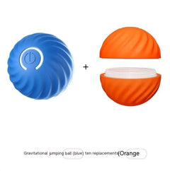Pet Dog Toy jumps and vibrates for doggos to enjoy - Blondies Flips Gear and Clothing
