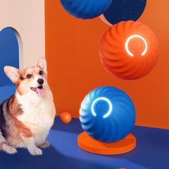 Pet Dog Toy jumps and vibrates for doggos to enjoy - Blondies Flips Gear and Clothing