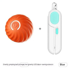 Pet Dog Toy jumps and vibrates for doggos to enjoy - Blondies Flips Gear and Clothing