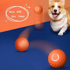 Pet Dog Toy jumps and vibrates for doggos to enjoy - Blondies Flips Gear and Clothing